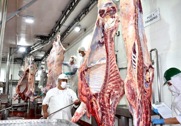 Faena de exportación de julio totalizó 198.941 cabezas, la segunda mayor del año