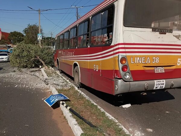 Colectivo impacta contra una columna y un árbol tras perder el control en Villa Elisa - Nacionales - ABC Color