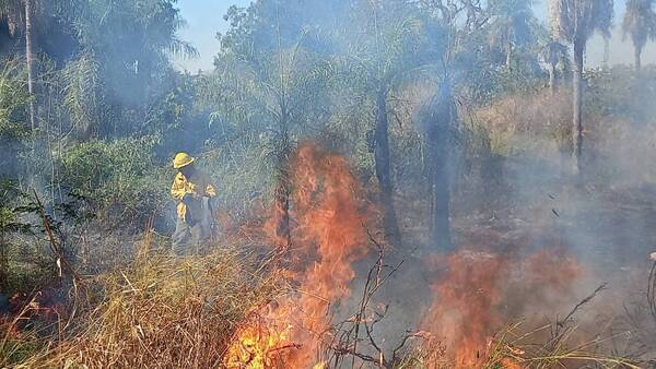 El “invierno” paraguayo se presta para más incendios: fuegos en Ypané, Encarnación y Neuland