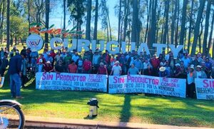 Productores de mandioca piden al menos G. 1.000 por kilo en finca - Nacionales - ABC Color