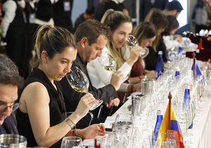 Arranca en Bogotá Expovinos, que tiene como invitada a la Denominación de Origen Cataluña - MarketData