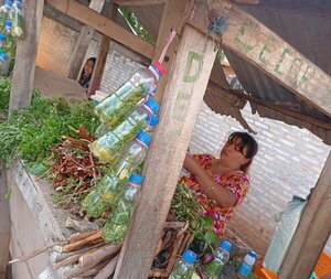 Carrulim, el brebaje ancestral con el que los paraguayos 'ahuyentan' la gripe de agosto - Revista PLUS