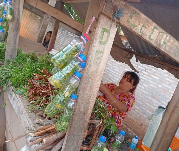 Carrulim, el brebaje ancestral con el que los paraguayos 'ahuyentan' la gripe de agosto - Revista PLUS