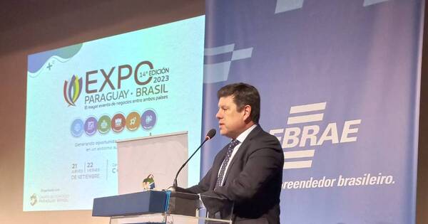 La Nación / Ministro de Industria entrante augura grandes oportunidades entre Paraguay y Brasil