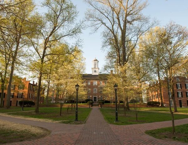 El 80 % del alza en número de universitarios en EEUU se debe a inmigrantes, según estudio - Mundo - ABC Color