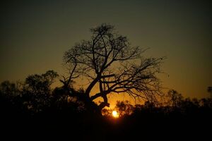 Diario HOY | Unas docena de fotografías compiten en la nueva categoría de Colosos de la Tierra