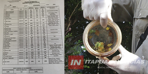 SE SOCIALIZARON LOS NÚMEROS DE ÍNDICES DE INFESTACIÓN LARVARIA EN ENCARNACIÓN - Itapúa Noticias