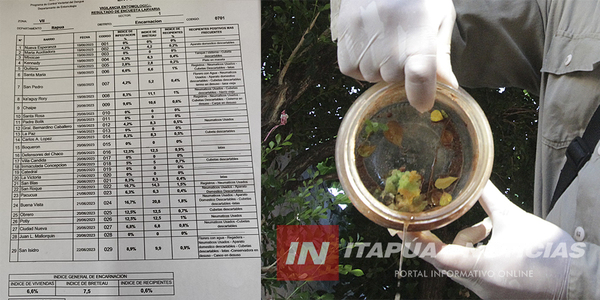 SE SOCIALIZARON LOS NÚMEROS DE ÍNDICES DE INFESTACIÓN LARVARIA EN ENCARNACIÓN - Itapúa Noticias