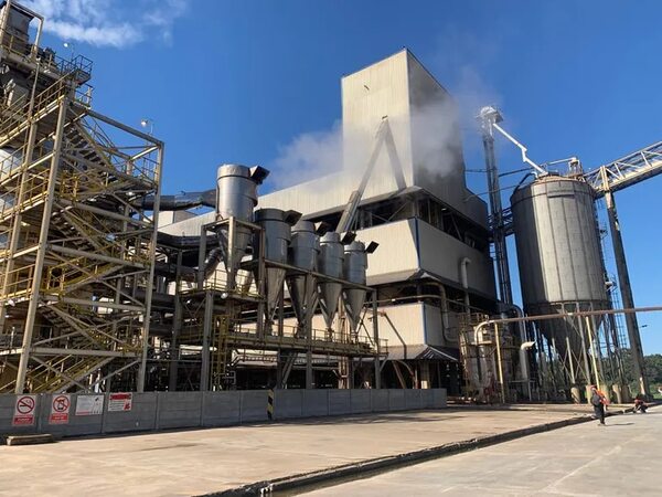 Recuperación es mínima en industria sojera, solo llega a 61% de capacidad - Nacionales - ABC Color