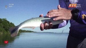 PESCANDO PARAGUAY
