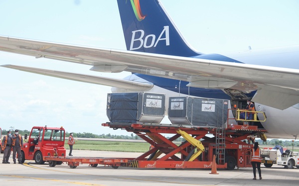 La aerolínea boliviana BOA pide permiso a Paraguay para volar a Asunción desde septiembre - MarketData