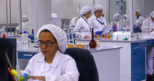 La Nación / Cifarma confía que deuda pueda ser saldada en tiempo razonable con nuevo gobierno