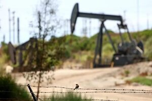 Arabia Saudita recortará por un mes más producción de petróleo: cómo impactará en los precios - Mundo - ABC Color