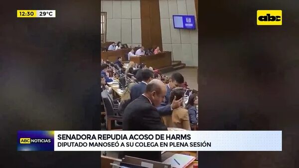 Video: Senadora repudia acoso de Walter Harms  - ABC Noticias - ABC Color