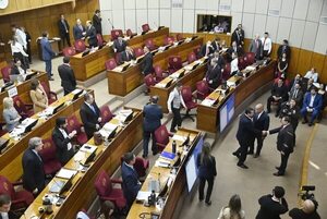 Ministerio de Economía: Senado aprueba la creación  - Economía - ABC Color