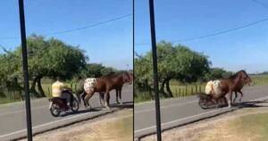 La Nación / Viral: distraído motociclista atropelló a un caballo en calle de Pilar