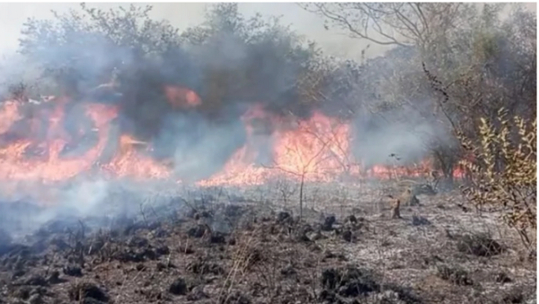 (VIDEO) Reportan enorme incendio forestal en Villeta