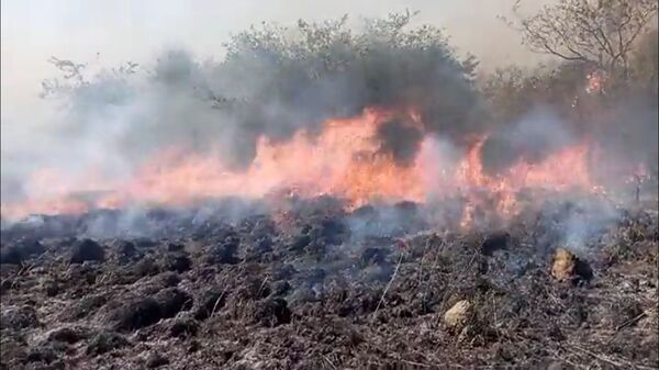 Dueño de establecimiento impide que bomberos puedan apagar incendio | 1000 Noticias