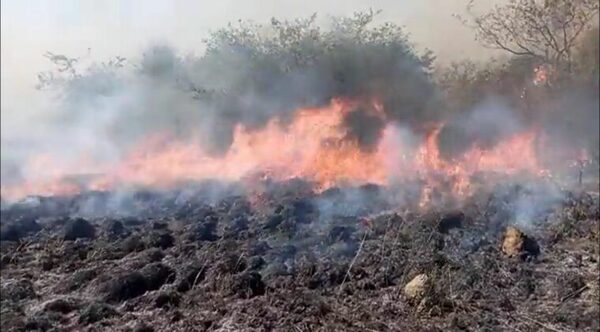 Reportan incendio de gran magnitud de pastizales en Villeta