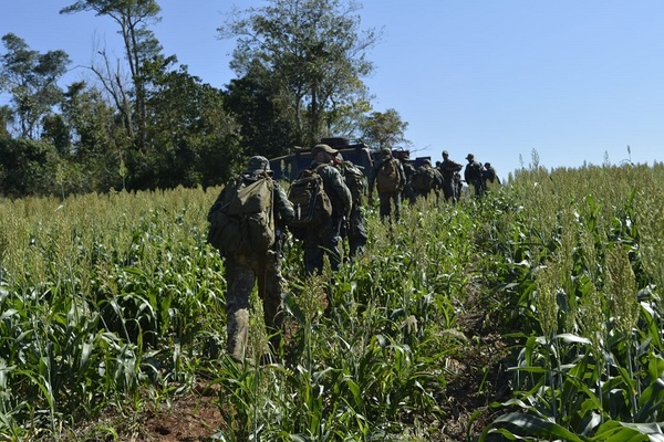 SENAD despliega nuevo operativo contra el tráfico de marihuana en Alto Paraná