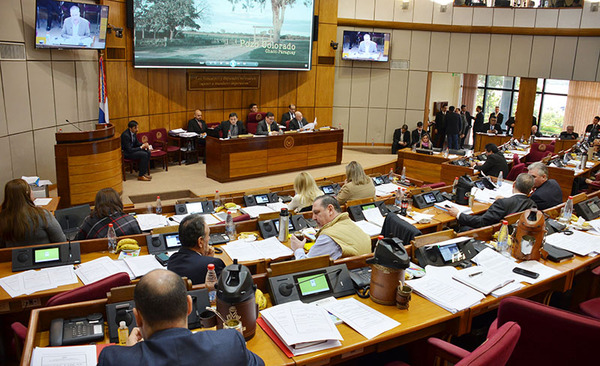 Senado recibe proyecto de ley para unificar entes y ministerios