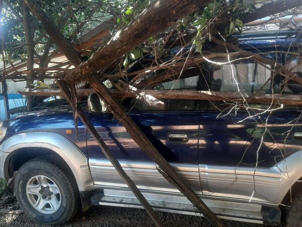 Diario HOY | Pisó acelerador en vez de freno y chocó a trabajador de lavadero
