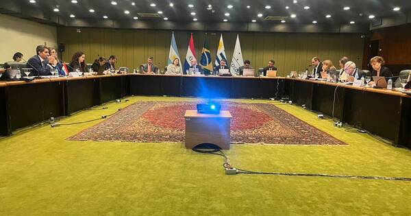 La Nación / Grupo de Relacionamiento del Mercosur analiza prioridades de comercio externo