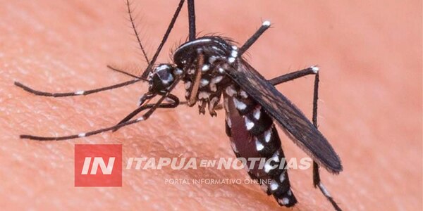 SENEPA SIGUE INSTANDO A ELIMINAR CRIADEROS DE MOSQUITOS EN ITAPÚA - Itapúa Noticias