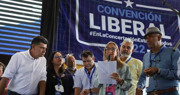 La Nación / Convencionales están decididos y Alegre ya tiene la suerte echada, adelanta Amarilla