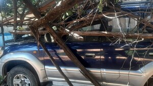 Camioneta atropella a trabajador de un lavadero en Loreto