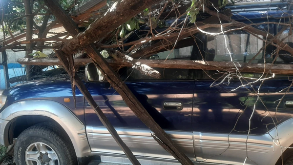 Camioneta atropella a trabajador de un lavadero en Loreto - Noticiero Paraguay