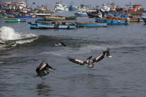 La Fiscalía peruana constata presencia de hidrocarburo en playas del norte de Lima - MarketData