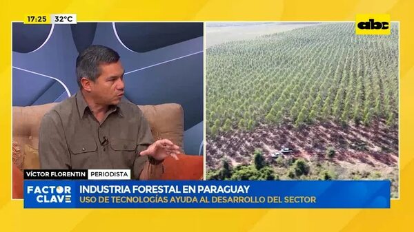 Video: Industria Forestal en Paraguay - Factor Clave - ABC Color
