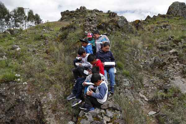 Brecha de género y educación impide masificar la conectividad en A.Latina, dicen expertos - MarketData