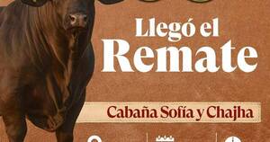 La Nación / Este domingo vuelve el esperado remate anual de las cabañas Sofía y Chajha
