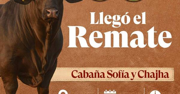 La Nación / Este domingo vuelve el esperado remate anual de las cabañas Sofía y Chajha