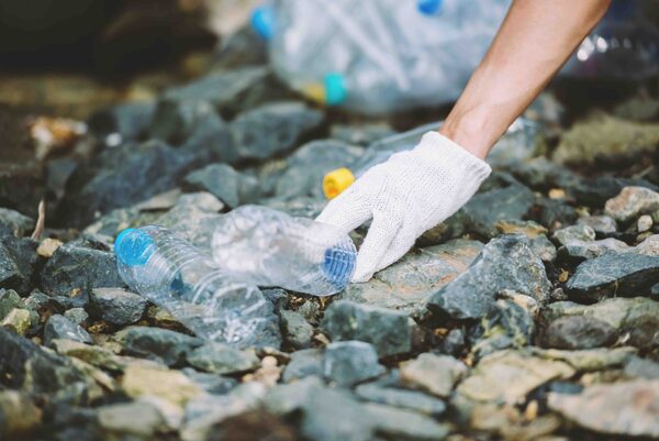 Hongos descomponedores aliados contra plástico contaminante | OnLivePy