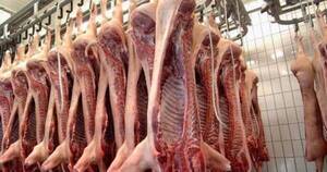 La Nación / Exportaciones de carne porcina registraron un aumento de 205 %