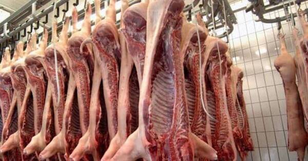 La Nación / Exportaciones de carne porcina registraron un aumento de 205 %