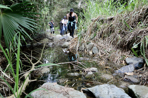 Pobreza, tala y polución, los motivos del "No" a vetar minería en el Chocó Andino de Quito - MarketData