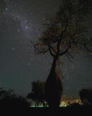Un Samu’u es la “Mejor fotografía de naturaleza” en Colosos de la Tierra - trece