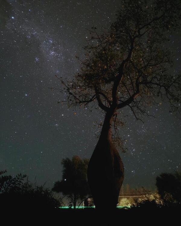 Un Samu’u es la “Mejor fotografía de naturaleza” en Colosos de la Tierra - trece