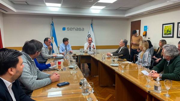 El gobierno argentino confía en que las exportaciones de carne de cerdo a China sigan creciendo