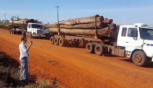 Alguien miente: Europeos denuncian deforestación salvaje pero acá dicen que hay “buenas prácticas agropecuarias” – La Mira Digital
