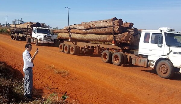 Alguien miente: Europeos denuncian deforestación salvaje pero acá dicen que hay “buenas prácticas agropecuarias” – La Mira Digital
