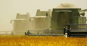 La Nación / Exportaciones de arroz aumentaron 48,3 % en el primer semestre