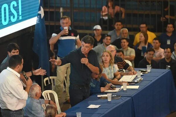 Convención liberal: piden destituir a Efraín Alegre de la presidencia del PLRA - Política - ABC Color