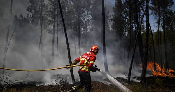 La Nación / Portugal: incendio forestal arrasa con 7.000 hectáreas