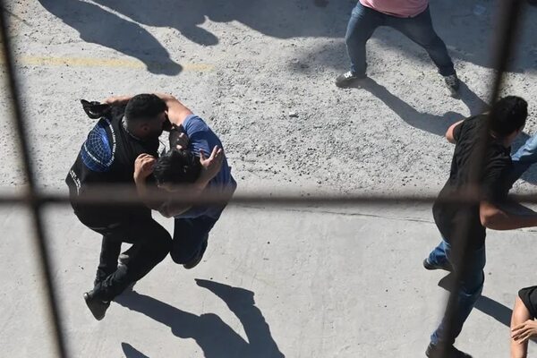 Celeste Amarilla culpa a Alegre y Blas Llano de haber destruido el PLRA - Política - ABC Color