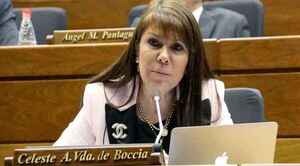 Celeste Amarilla: “Para mí la solución es como en el 77, hacer un nuevo partido”